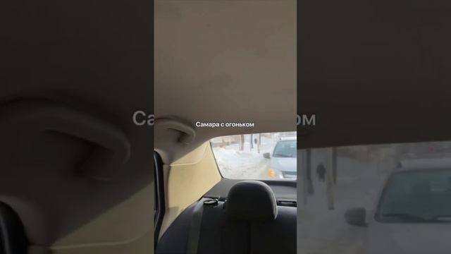 «Да отстаньте уже от него!»: мужчина в Самаре регулярно выгуливает 17 собак смотреть онлайн