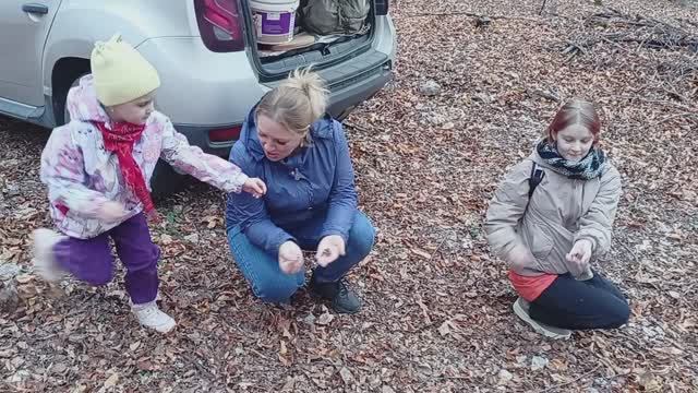 Поехали за опятами... а набрали чинариков! смотреть онлайн