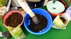 КАК ПРАВИЛЬНО ПОДГОТОВИТЬ ГРУНТ ДЛЯ РАССАДЫ!