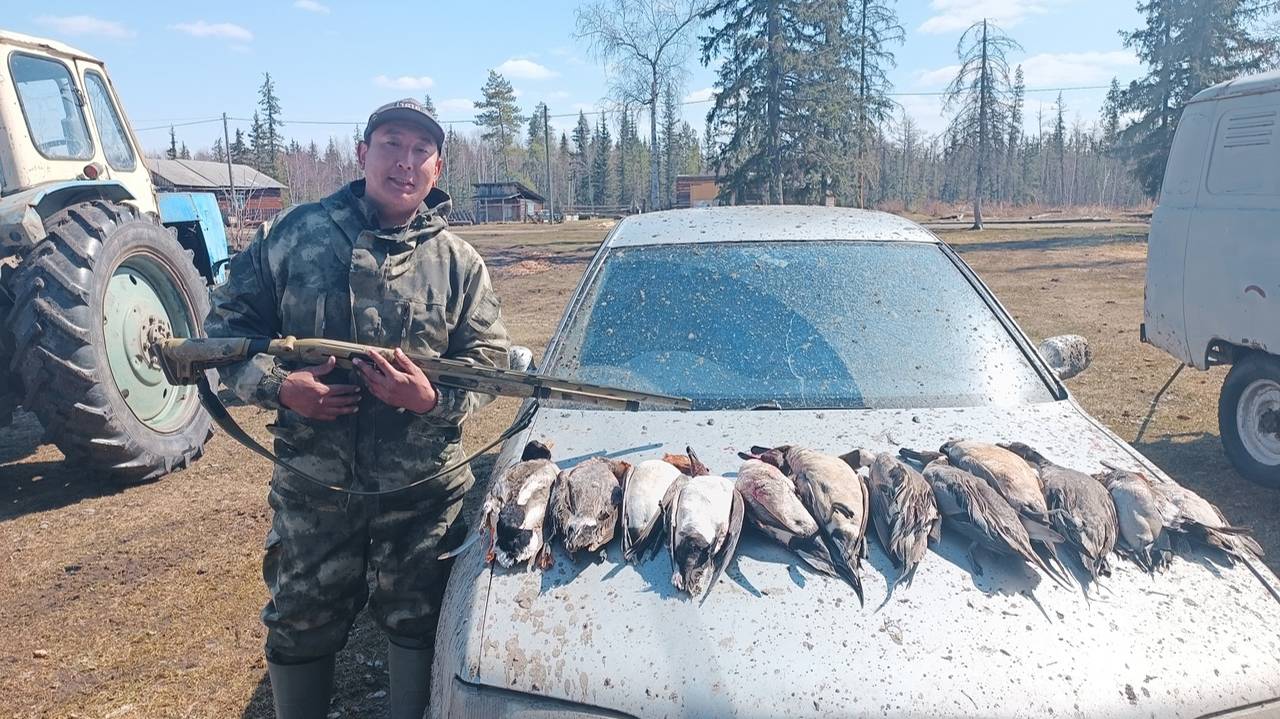 Строим скрадок и охотимся на уток смотреть онлайн