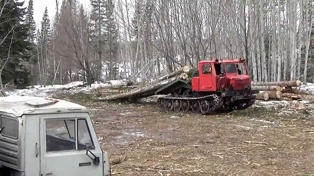В тайгу за лесом на тракторе К-701.