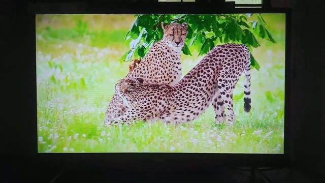 Nokia Smart Android TV 32 inch Unboxing and Review Video in Malayalam || CR Centre смотреть онлайн