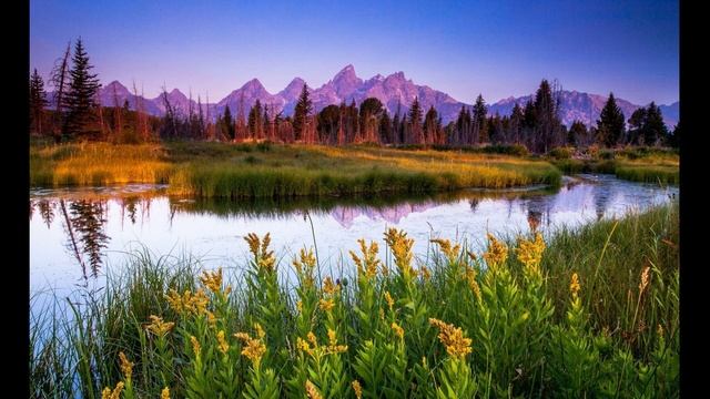 Paradise-Hope смотреть онлайн