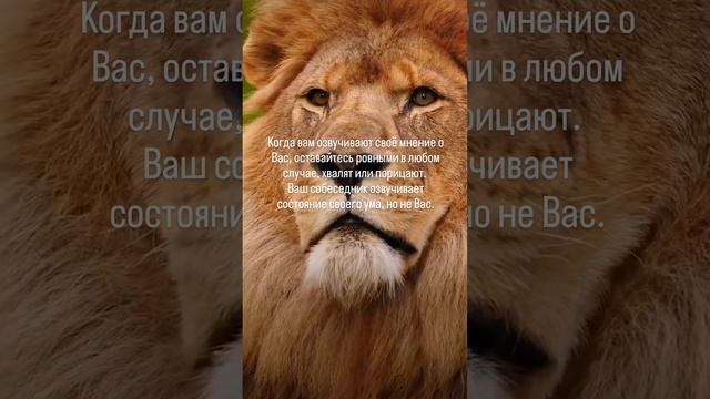 Точно смотреть онлайн