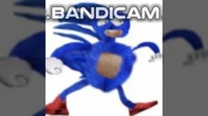 соник)))))))))))))