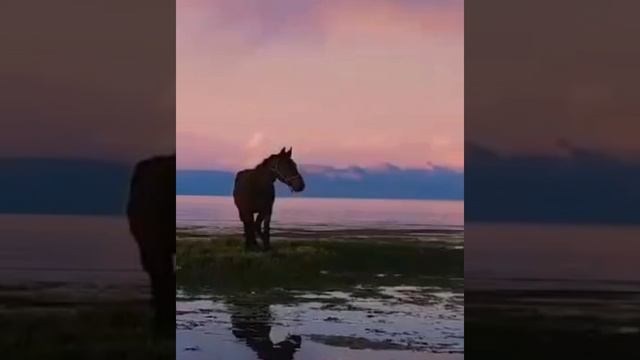 Дуэт Li Mi - T . Иллюзии. смотреть онлайн