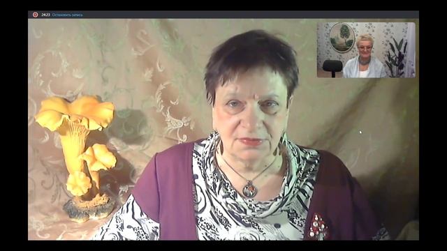 Вопросы и ответы. Выпуск № 4. Беседы с грибоведами. смотреть онлайн