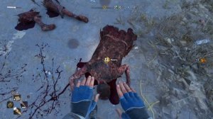 Dying Light 2: Stay Human. Часть 21. Аномалии.