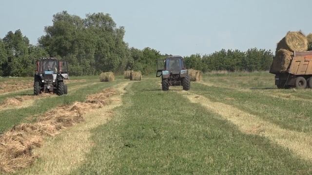 В Нурлатском районе продолжается заготовка животноводческих кормов смотреть онлайн