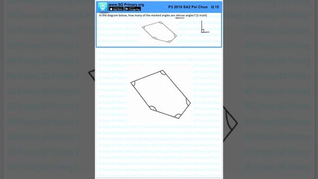 Primary 3 Math 2019 Pei Chun SA2 Q15 смотреть онлайн