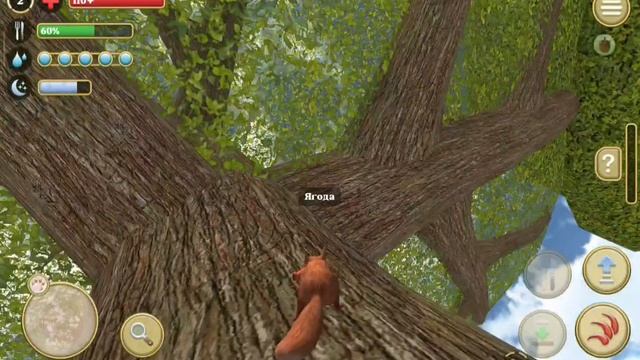 Симулятор белки 2 онлайн