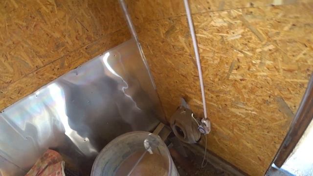 БРАЛ ПТИЦУ ДЛЯ СЕМЬИ, А ПОЛУЧИЛ! смотреть онлайн