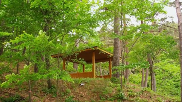 "Алкоголизм как болезнь". 15 ноября. День за днем в Ал-анон. Ежедневник для созависимых. смотреть онлайн