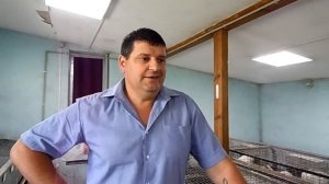 Выбор породы кроликов для домашнего хозяйства (видео 1)