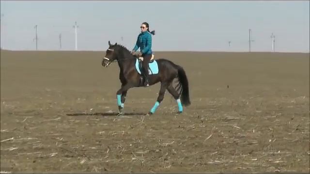 Баальбек под седлом смотреть онлайн