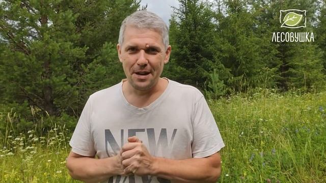 ''Зов Пармы'' смотреть онлайн