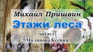 Михаил Пришвин «Этажи леса» читает Молянова Ксения