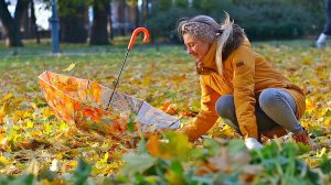 Синий зонтик, Красный зонтик ... Осень 2024  (2)