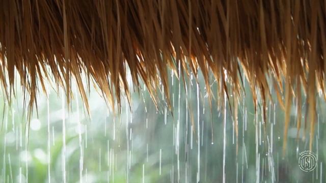 Relaxing Slow Piano + ASMR | Heavy Rain & Thunder | Afternoon Squall | Boost PIANO sounds смотреть онлайн