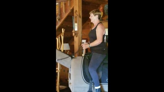 50 Plus Equestrian Walk Trot Canter Exercises on the Equicizer смотреть онлайн