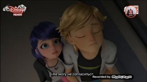 Леди баг и супер кот раскрыли друг друга свои личности