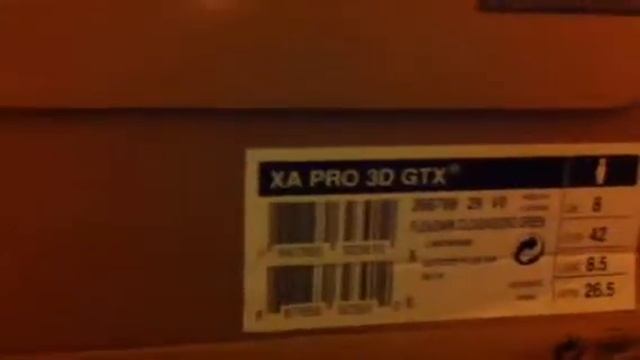 Salomon XA PRO 3D GTX смотреть онлайн