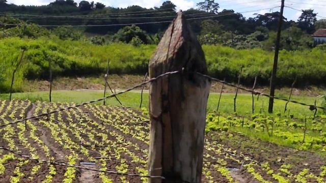 ZONA RURAL DE LAGOA SECA PB смотреть онлайн