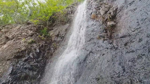 CASCADA "LA PAPAYITA" - MONTECRISTI | Junior Pico смотреть онлайн
