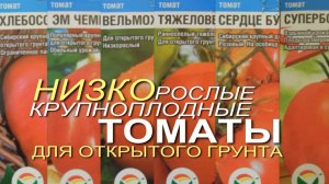 Шесть УРОЖАЙНЫХ КРУПНОПЛОДНЫХ НИЗКОРОСЛЫХ ТОМАТОВ для отрытого грунта! Советы от ЗЕЛЕНОГО ОГОРОДА!