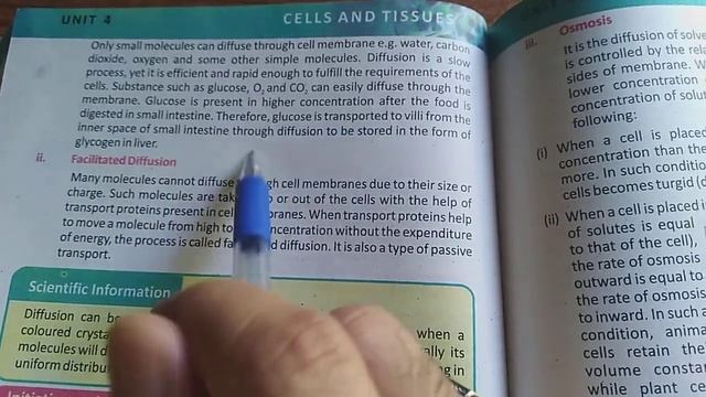 Passage of molecule In and Out of Cell Active and Passive Transport Diffusion, Facilitated Diffusio смотреть онлайн