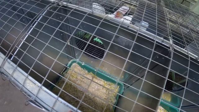 ПРОВЕЛ РЕВИЗИЮ! Я В ШОКЕ, КУДА Я СМОТРЕЛ! смотреть онлайн