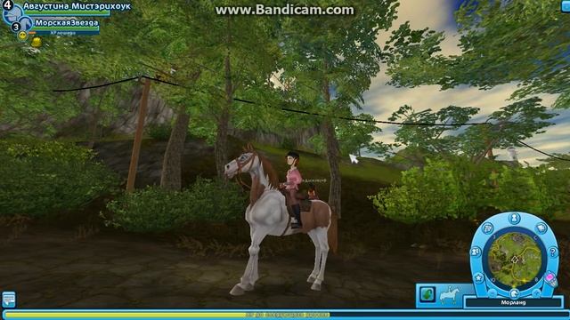 Star Stable #9 ~ День фото ~ смотреть онлайн