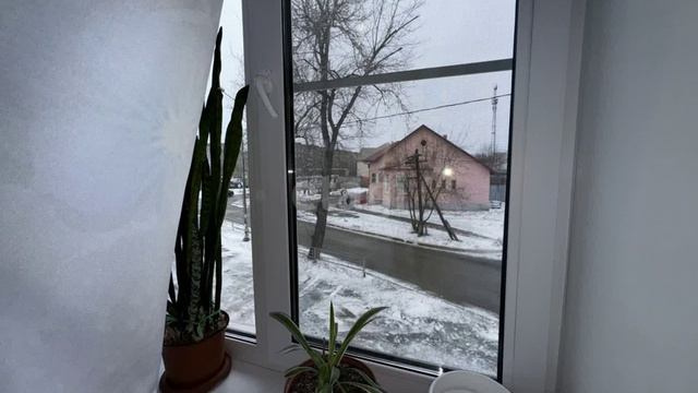 11618908 смотреть онлайн
