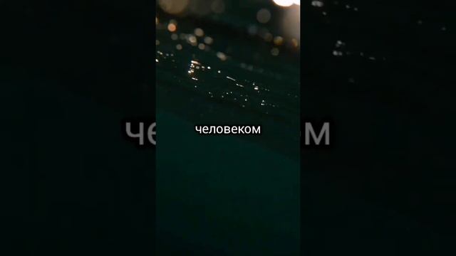 мудрые мысли смотреть онлайн