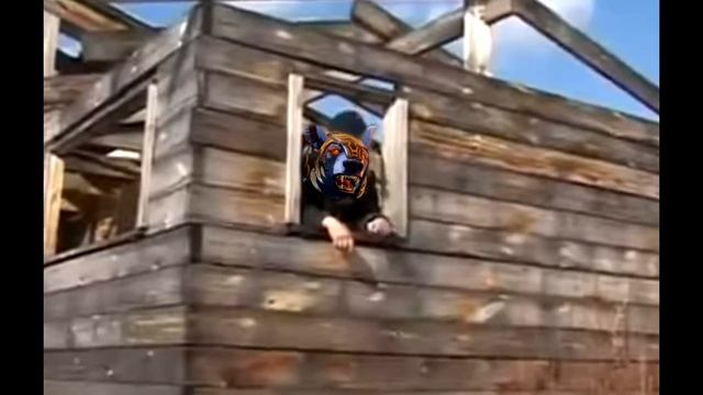 1-Мемы В Dota 2 Вы кто такие я вас не звал