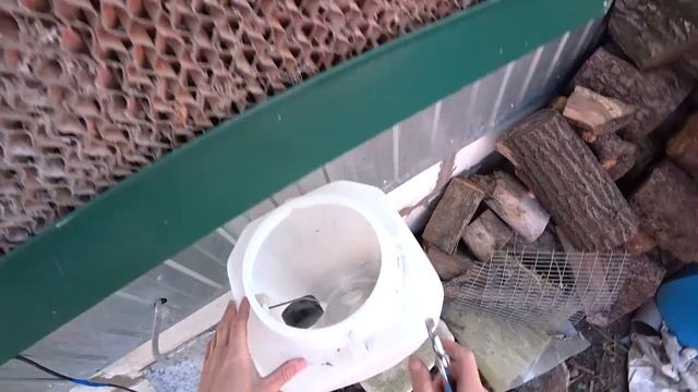 ДЕТИ ЕЁ ЖДАЛИ, А Я НЕТ! смотреть онлайн