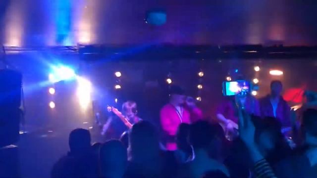 Finch Day [3.03.2019]