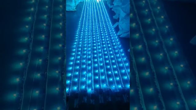Led Pixel Series patta 40ft 100lamp Auto update #diwali #diwalispecial #light #lighting смотреть онлайн
