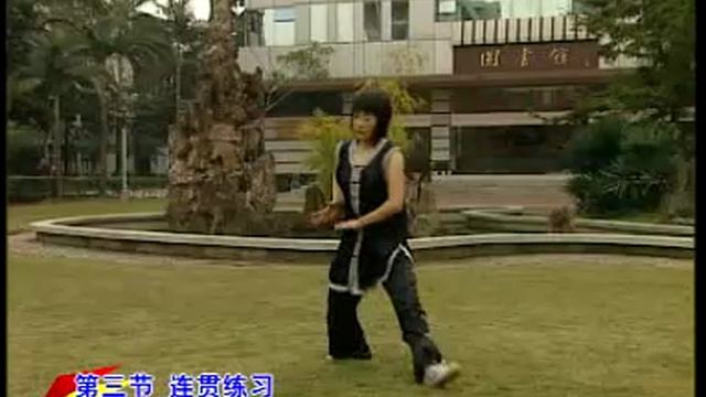 Нань Шаолинь Шэцюань - Кулак Змеи семьи Южного Шаолинь смотреть онлайн