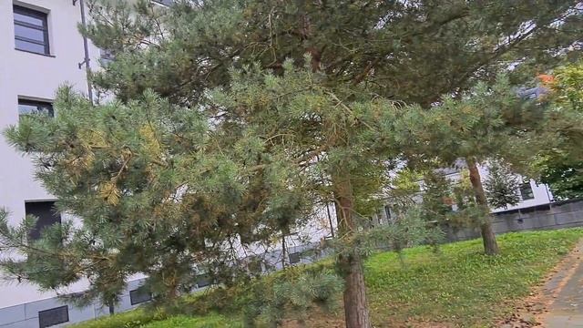 Эберсвальде. Штаб 20 Армии. ГСВГ. Германия. Eberswalde. Germany. 2021. смотреть онлайн