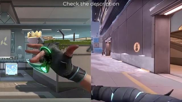 Reaver Karambit Vs Ion Karambit | Giveaway For Myself :)