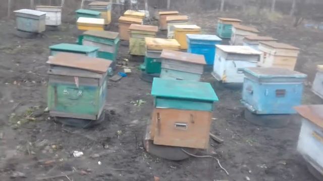 Мой Воск. Моя пасека | Пчеловодство смотреть онлайн
