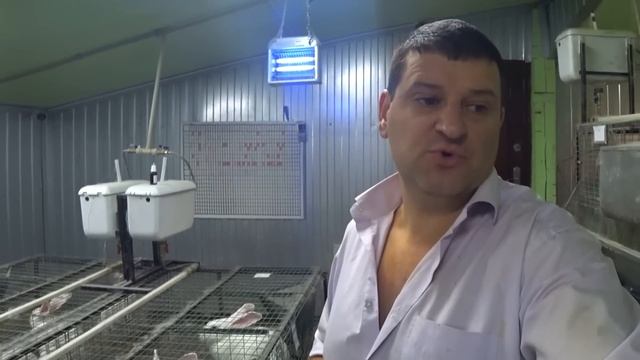 КОРМИМ, СОРТИРУЕМ, РАССАЖИВАЕМ! смотреть онлайн