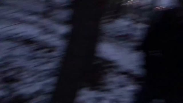 Деньги цветут, но фотосинтез важнее смотреть онлайн