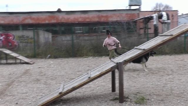 ДЕЛЬТА ПАЛ, 10.11.24