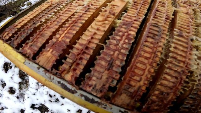 Осмотр пасеки. Семьи осыпаются смотреть онлайн