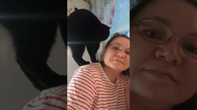 Кошка Милка и самое святое смотреть онлайн