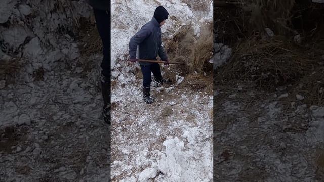 Жизнь коневода и его детей (каникулы) 😁😁 смотреть онлайн