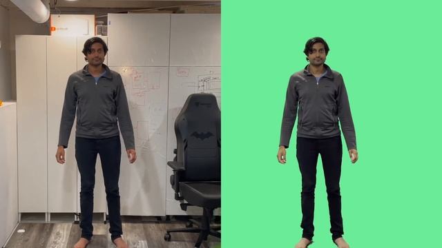 Background matting / segmentation test смотреть онлайн