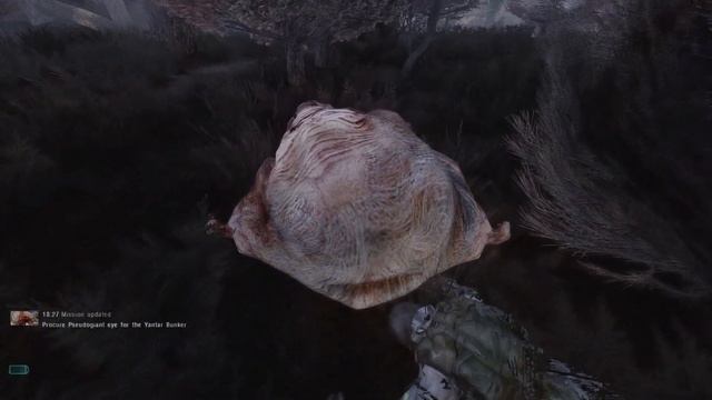 RED FOREST BE LIKE... - STALKER Anomaly - Episode 16 смотреть онлайн